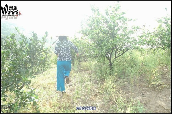 唯美之家 - 武当山之行-押解 第 95 张图片