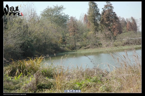 唯美之家 - 2008-11-27萧雅 第 57 张图片