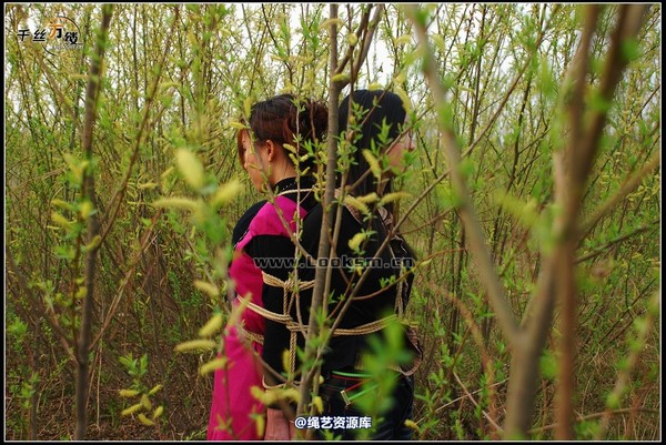 千丝万缕 - 2008-03-10日照片 第 15 张图片