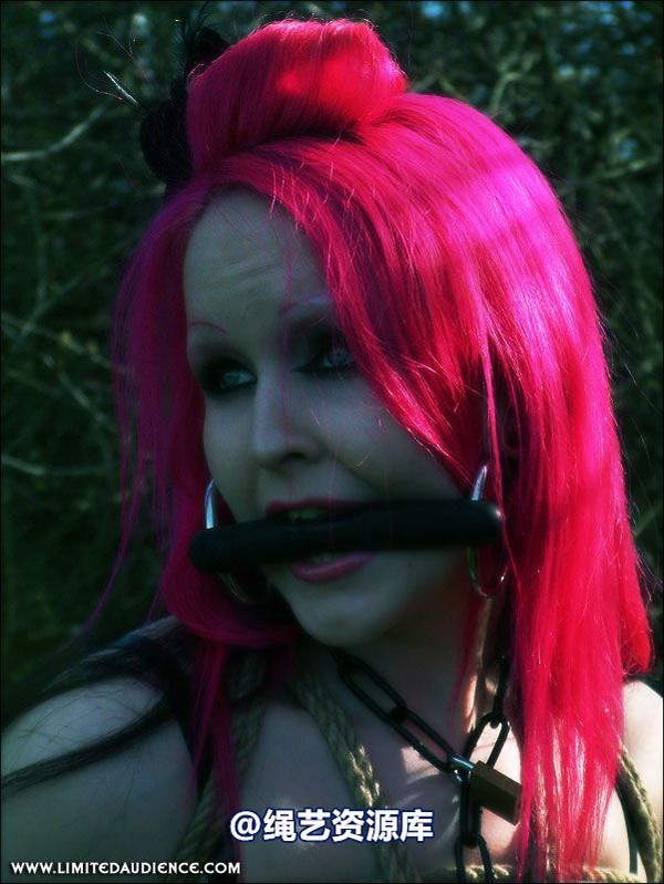 limitedaudience - 2007 assisted suicide at the slave market 第 49 张图片