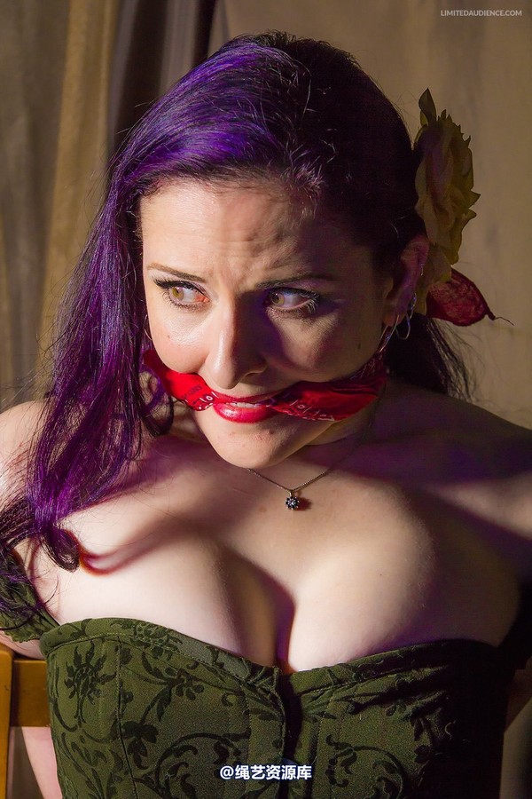 limitedaudience - 2014 caroline pierce captured damsel 2 第 17 张图片