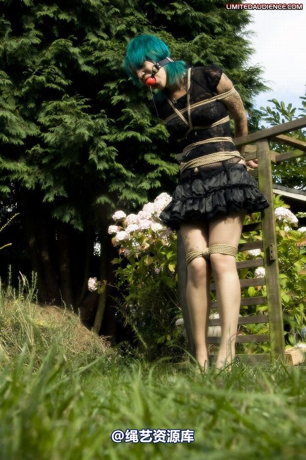 limitedaudience - 2009 b captive pixie 第 17 张图片
