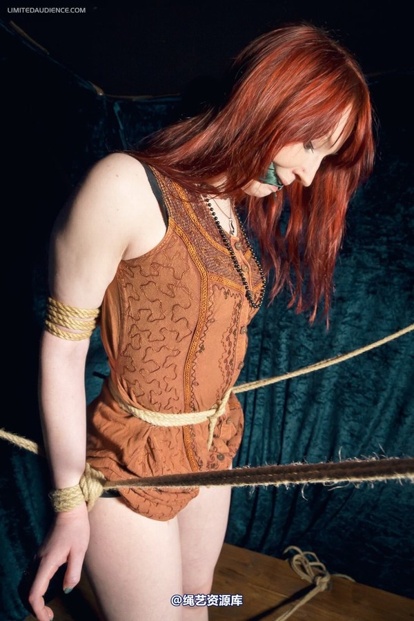 limitedaudience - 2012 syrah lee rope web 第 7 张图片