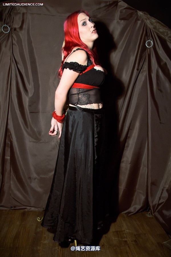 limitedaudience - 2011 elyssia bound to a pole 2 第 19 张图片