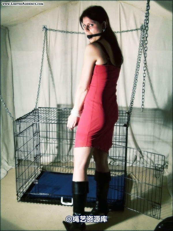 limitedaudience - 2007 scarlett tied and caged 第 2 张图片