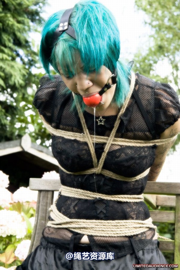 limitedaudience - 2009 b captive pixie 2 第 6 张图片