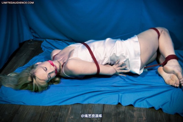 limitedaudience - 2010 ariel hogtied and cleave gagged 第 34 张图片