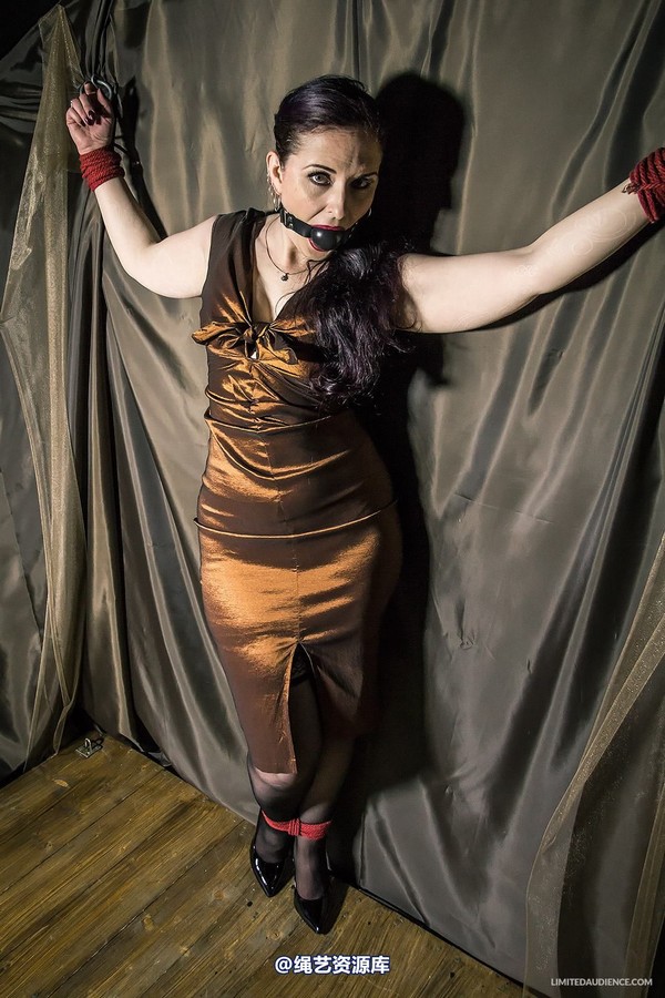 limitedaudience - 2014 caroline pierce bondage in bronze 第 19 张图片