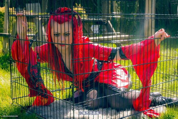 limitedaudience - 2015 raevan into the cage 第 15 张图片