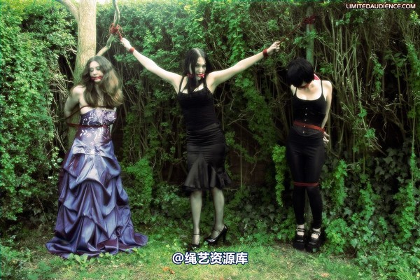 limitedaudience - 2009 catya elyssia lolly pleasure reserves 2 第 30 张图片