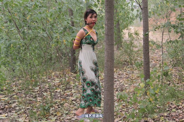 胜景山庄 - 275-山林绑着堵嘴狂跑 第 38 张图片