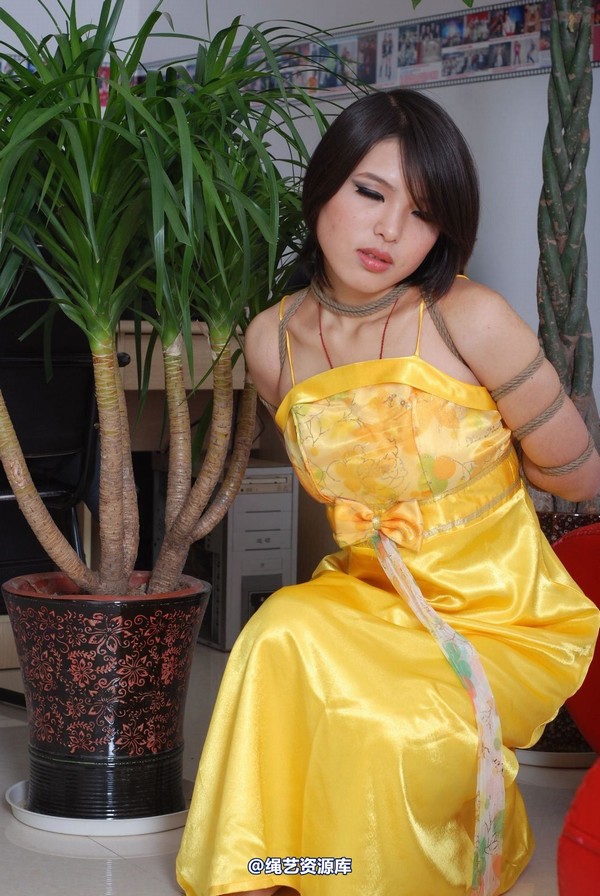 唯美之家 - 书兰-黄礼服 第 40 张图片