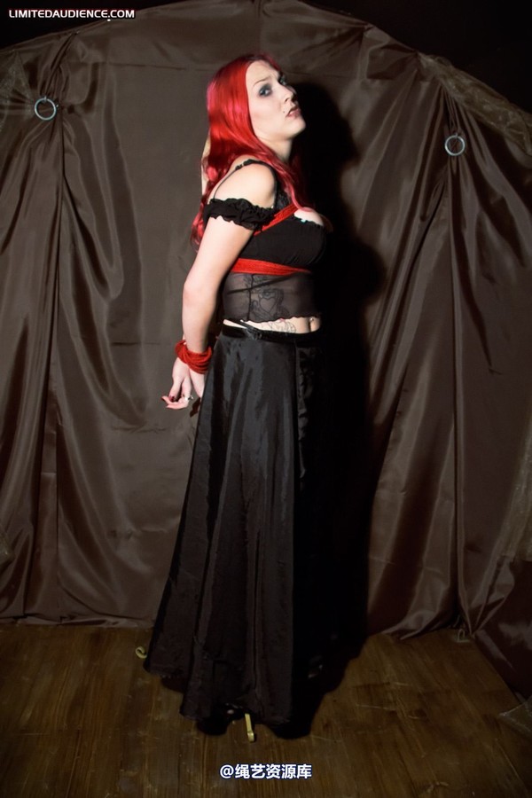 limitedaudience - 2011 elyssia bound to a pole 2 第 18 张图片