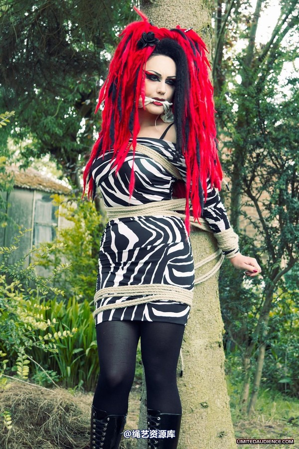 limitedaudience - 2012 andromedax bound to a tree 2 第 15 张图片