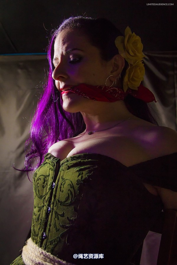 limitedaudience - 2014 caroline pierce captured damsel 2 第 25 张图片