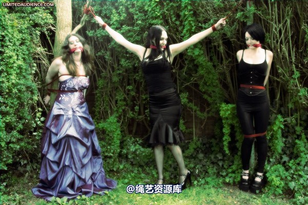 limitedaudience - 2009 catya elyssia lolly pleasure reserves 2 第 6 张图片