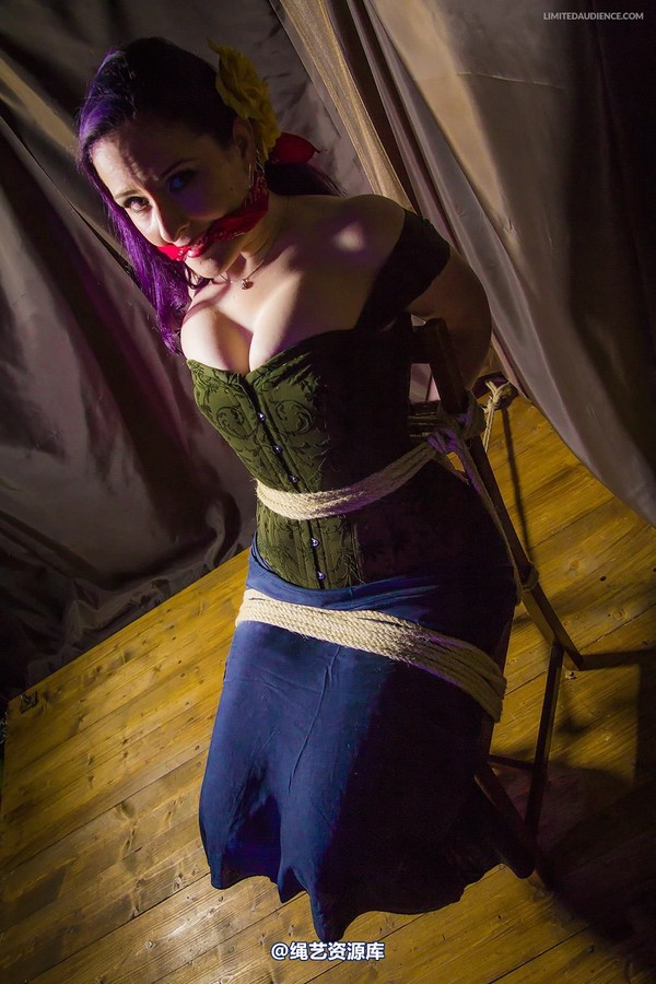 limitedaudience - 2014 caroline pierce captured damsel 2 第 22 张图片