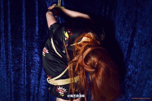 limitedaudience - 2013 ivory strappado 第 26 张图片