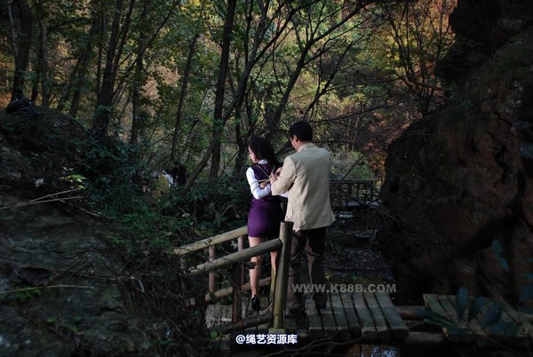 千丝万缕 - 20081112 第 8 张图片