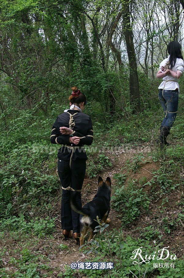 锐度主张 - 20070413第11期 老山采风 第 94 张图片