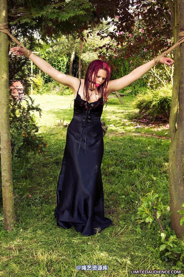 limitedaudience - 2011 beckykat between trees 2 第 25 张图片