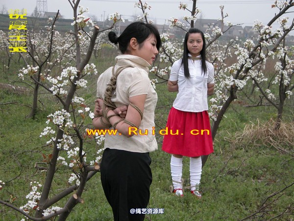锐度主张 - 婷婷和寒冰梨花林中 第 18 张图片