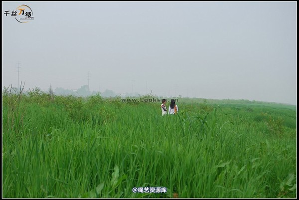 千丝万缕 - 2008-04-06日照片 第 29 张图片