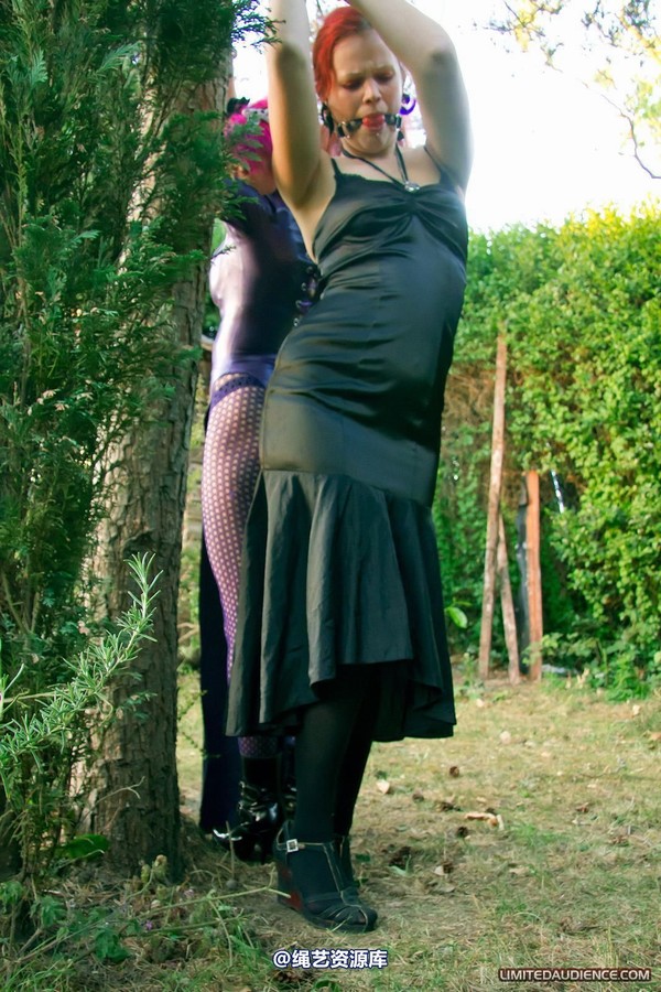 limitedaudience - 2011 beckykat loltaru chained tree seesaw 第 2 张图片