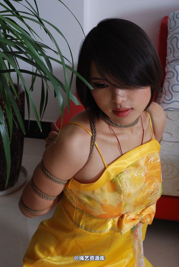 唯美之家 - 书兰-黄礼服 第 93 张图片
