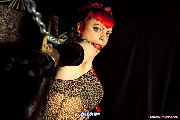 limitedaudience - 2010 raevan captured huntress 2 第 39 张图片