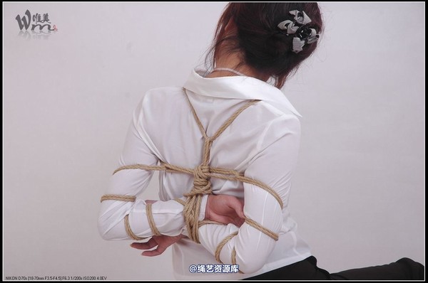 唯美之家 - 2008-11-3青竹无花 第 131 张图片