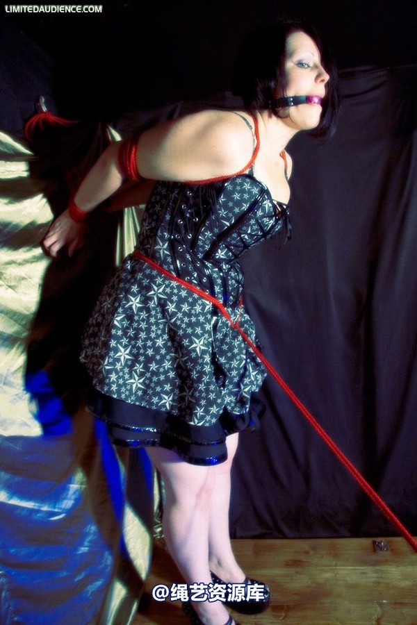 limitedaudience - 2009 deception a painful wait 第 11 张图片