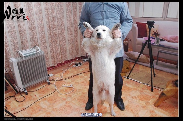 唯美之家 - 2008-12-18军统女特务受刑(剧照) 第 34 张图片