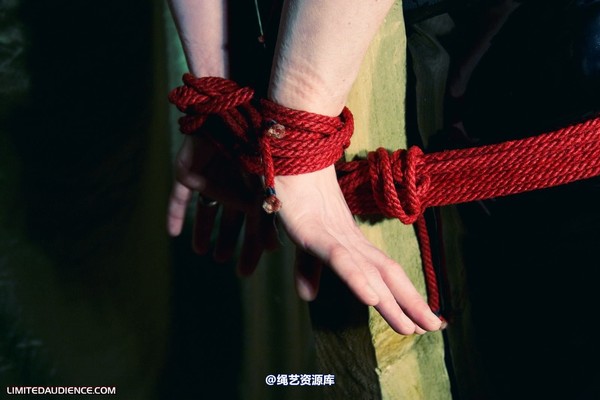 limitedaudience - 2010 raevan postbound 2 第 18 张图片