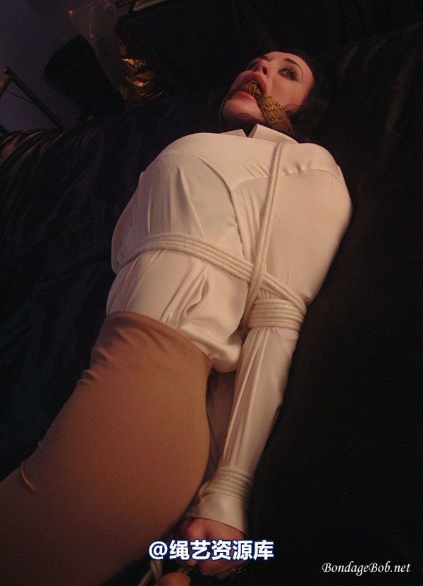 bondagebob - Morrigan From the shadow 第 80 张图片