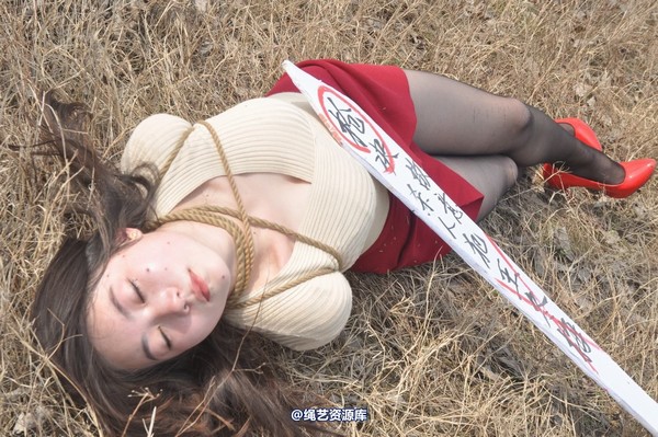 mj影视 - 车模梅晓雯 第 382 张图片