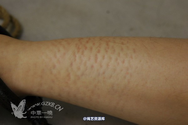 中华一晓 - 中华一晓 NO.0118 第 56 张图片