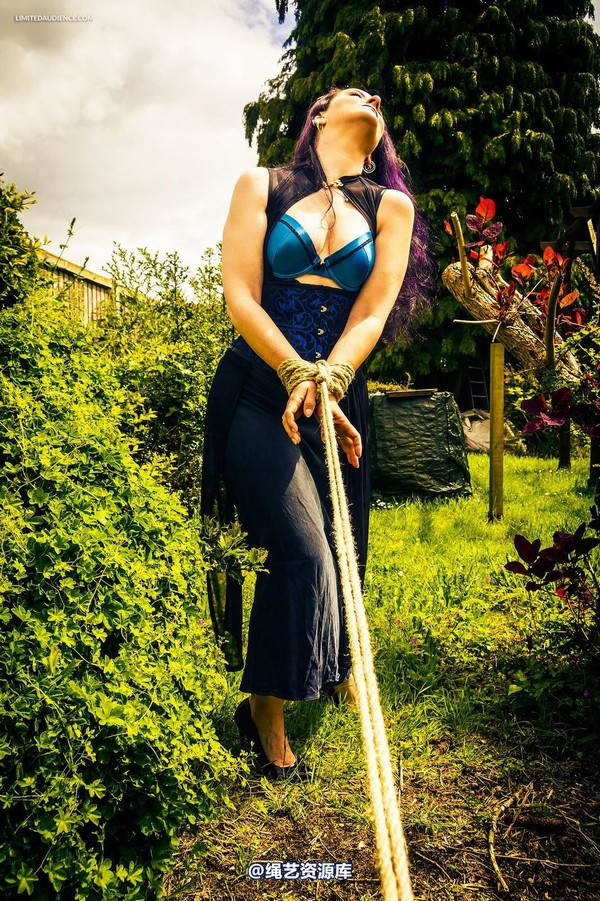 limitedaudience - 2015 caroline pierce from merchant lady to slave 第 22 张图片