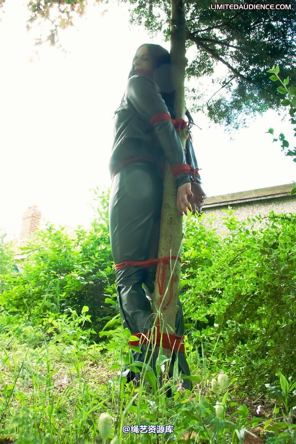 limitedaudience - 2011 rebekka raynor one with the tree 2 第 12 张图片