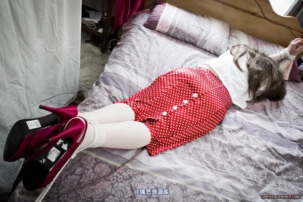 limitedaudience - 2012 catya bound secretary 第 11 张图片