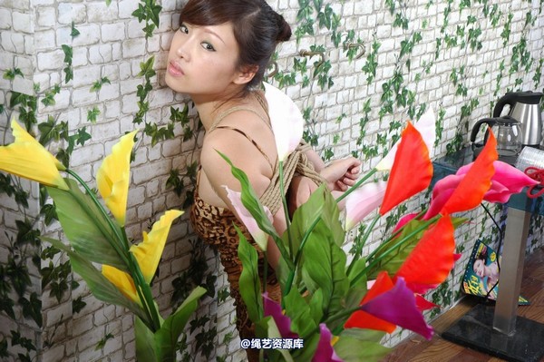 唯美之家 - VIP85 第 64 张图片
