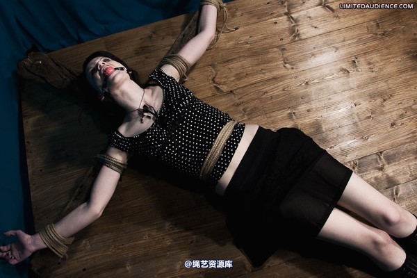 limitedaudience - 2010 luisa helpless to resist 第 22 张图片