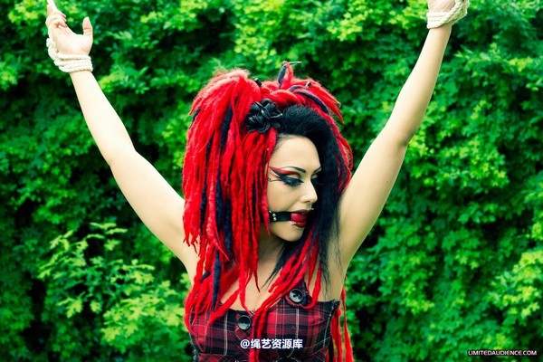 limitedaudience - 2012 andromedax offered up 第 5 张图片