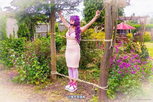 limitedaudience - 2015 kittysocks between trees 第 6 张图片