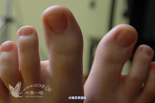 中华一晓 - 中华一晓 NO.1056 第 85 张图片