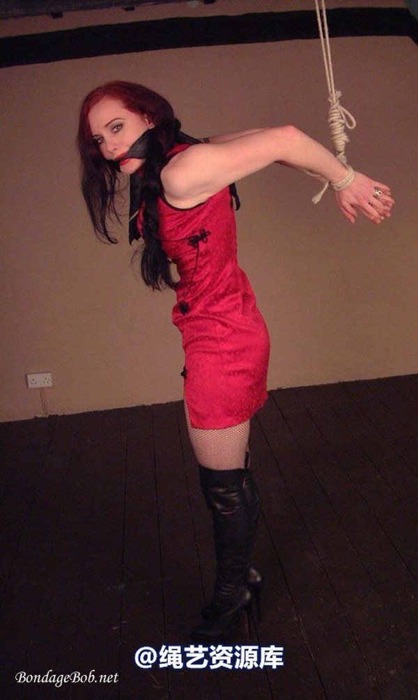 bondagebob - Morrigan Higher! 第 26 张图片