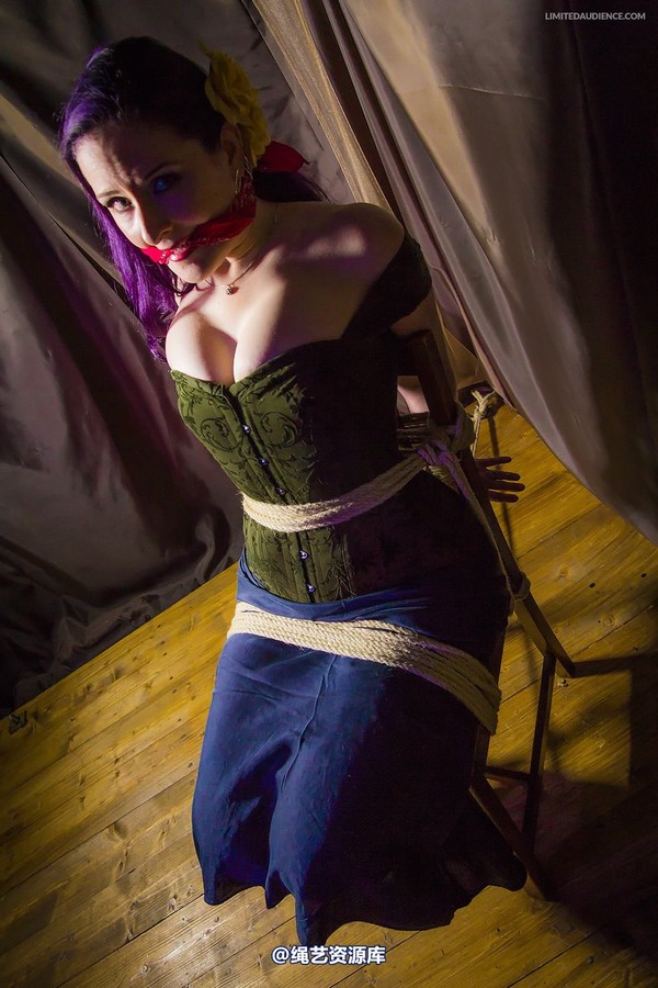 limitedaudience - 2014 caroline pierce captured damsel 2 第 21 张图片