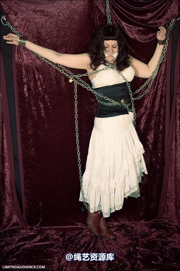 limitedaudience - 2008 veriddian chains on velvet 第 26 张图片
