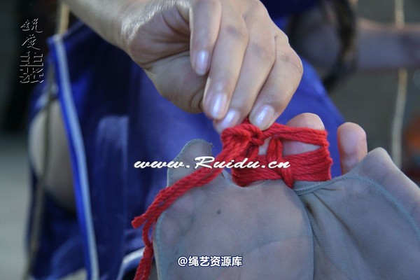 锐度主张 - 泡泡、孔雀谁坐老虎凳？ 第 109 张图片