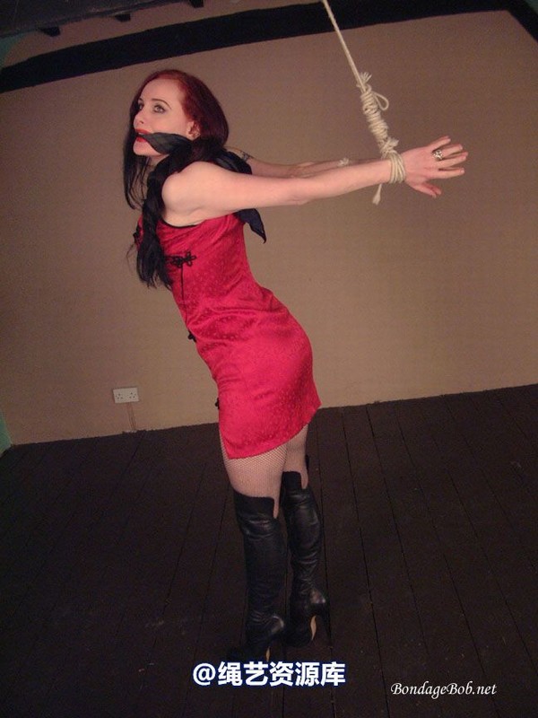 bondagebob - Morrigan Higher! 第 11 张图片
